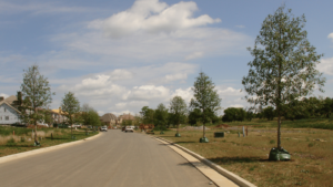 Annandale Community, Nashville, TN Before photo