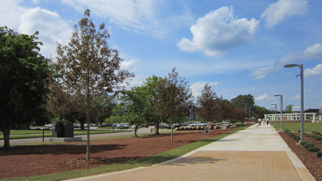 UAHGreenway-Before UAH Greenway - Huntsville, AL, Sangria® Red Leaf Nuttall Oak - 2013 - 3” trunk diameter