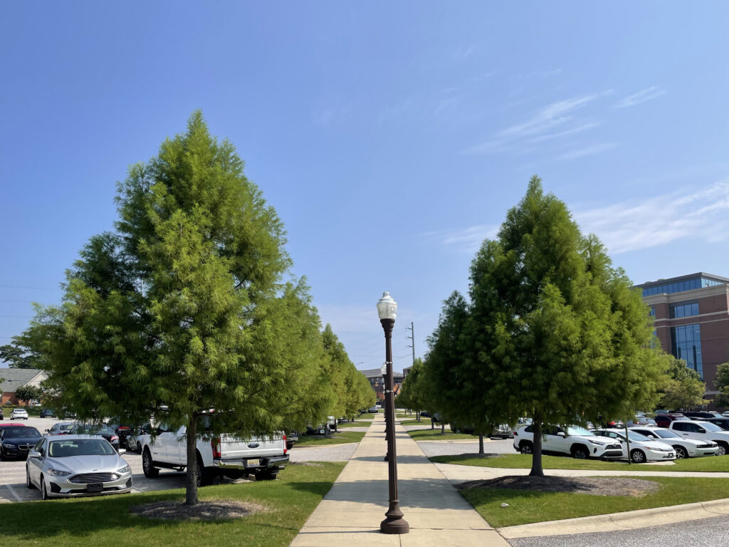 AU Parking Lot – Auburn, AL – AGBC – After Photo AU Parking Lot - Auburn, AL - AGBC - After Photo