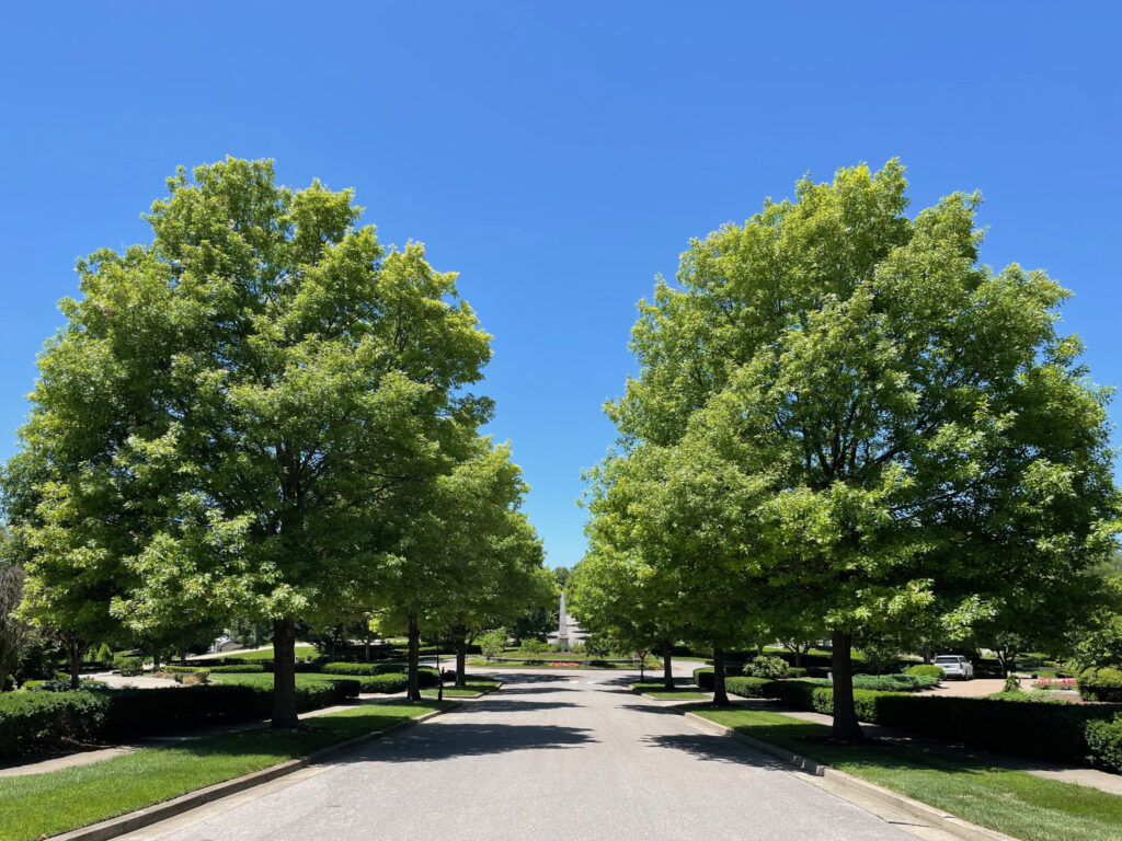 Annandale Subdivision – Brentwood, TN – HP – After Photo Annandale Subdivision - Brentwood, TN - HP - After Photo