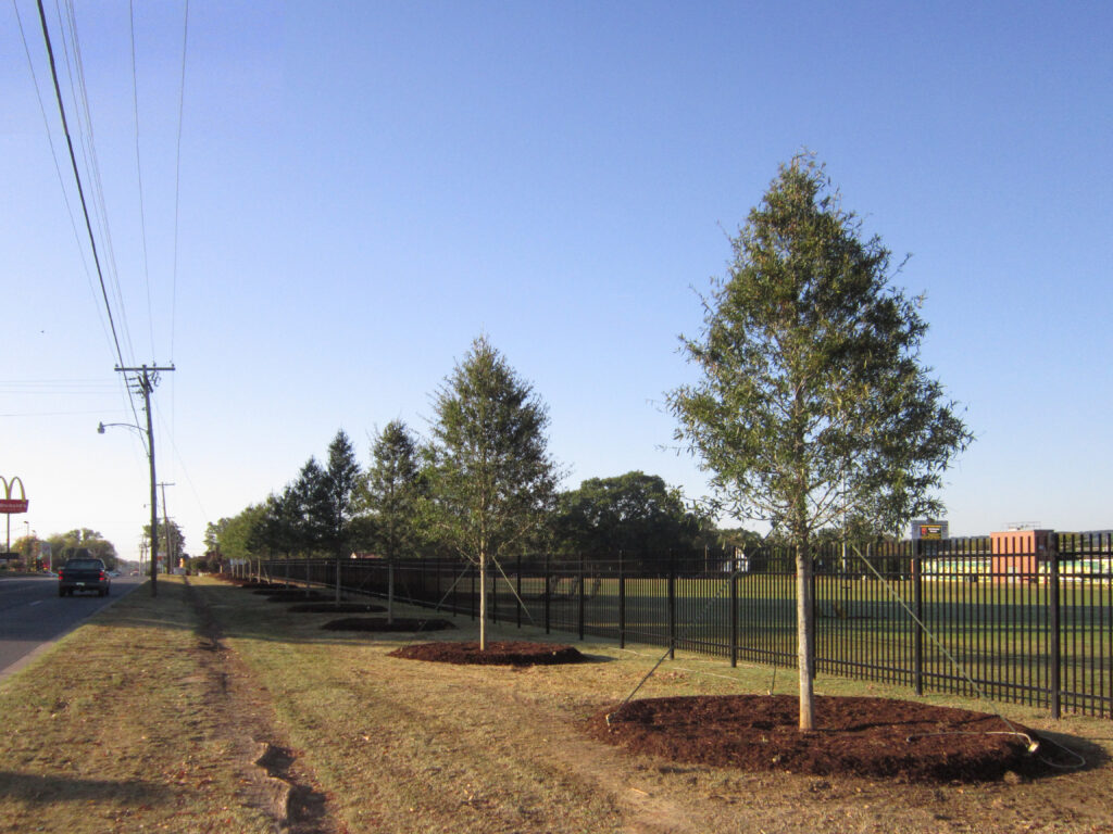 Arkansas Tech – Highway 7 – Russellville, AR – Ascendor – Before Photo Arkansas Tech - Highway 7 - Russellville, AR - Ascendor - Before Photo