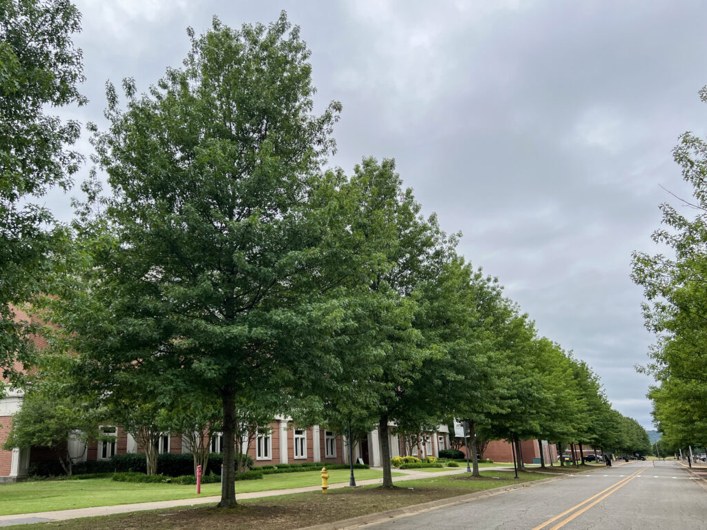 Arkansas Tech – Russellville, AR – Sangria – After Photo Arkansas Tech - Russellville, AR - Sangria - After Photo