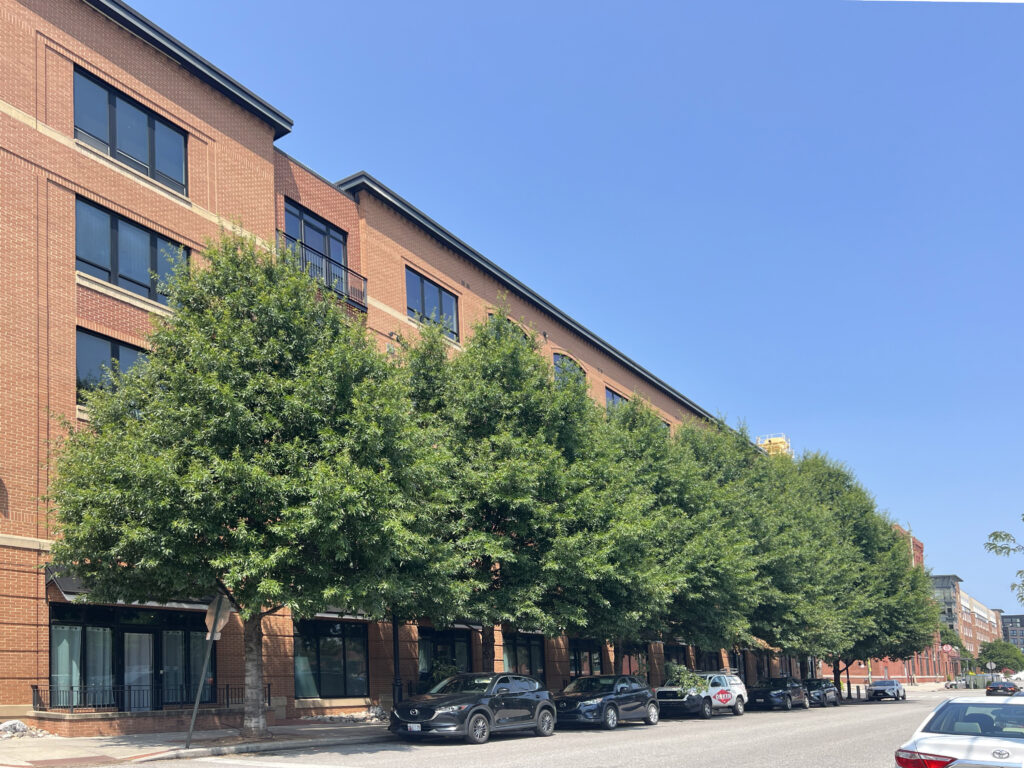 Brewers Hill - Baltimore, MD - HT - After Photo