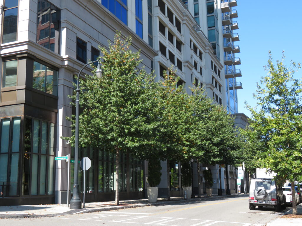 Buckhead Village District – Atlanta, GA – Sangria – After Photo Buckhead Village District - Atlanta, GA - Sangria - After Photo