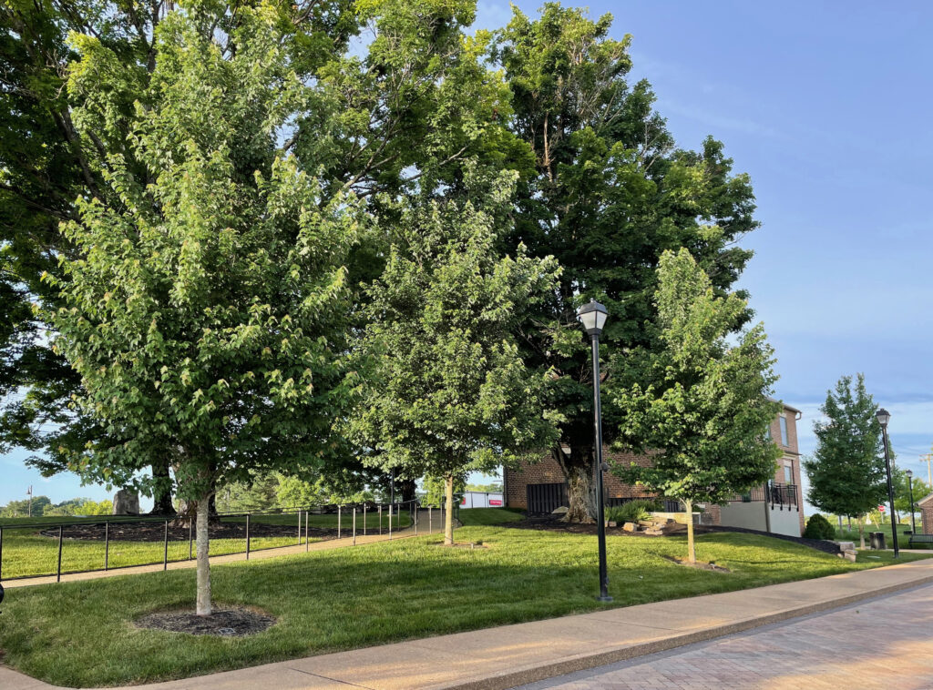 Campbell Station Inn- Knoxville, TN – BTL – After Photo Campbell Station Inn- Knoxville, TN - BTL - After Photo