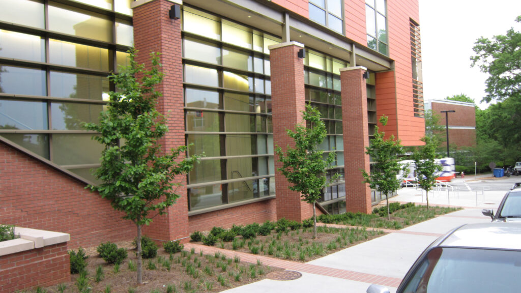 Clemson University - Freeman Hall - Clemson, SC - Contemplation - Before Photo