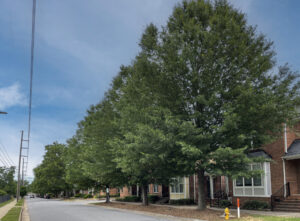 Halifax Street- Raleigh, NC - Ascendor - After Photo