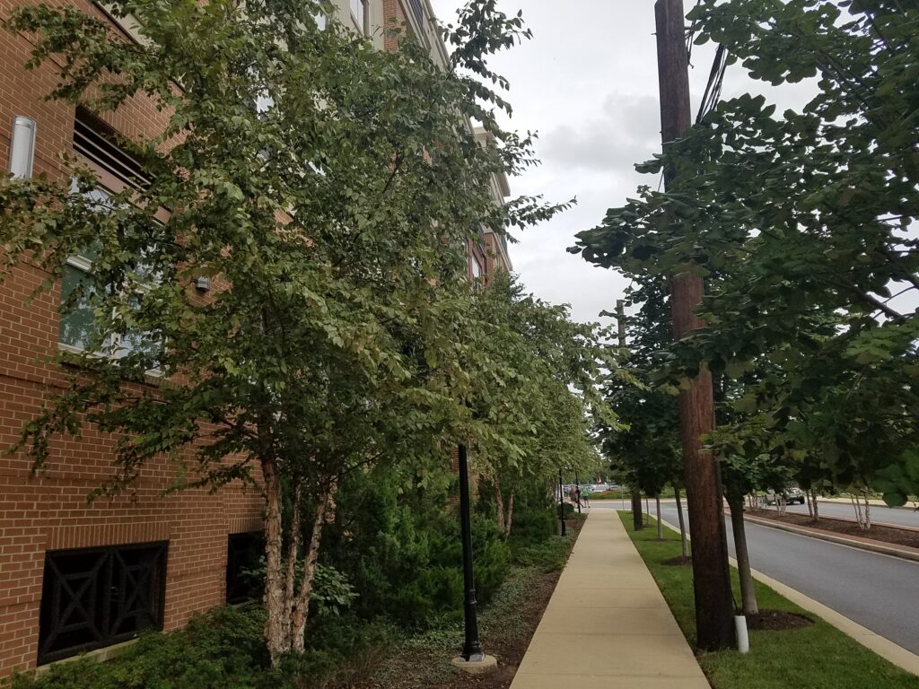 Hanover College Park – Domain – College Park, MD – DHRB – After Photo Hanover College Park - Domain - College Park, MD - DHRB - After Photo