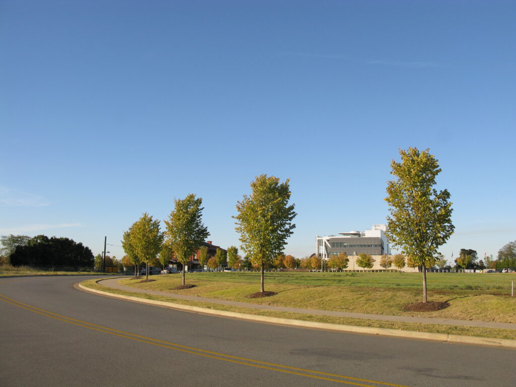 Heifer International – Little Rock, AR – CQ – Before Photo Heifer International - Little Rock, AR - CQ - Before Photo