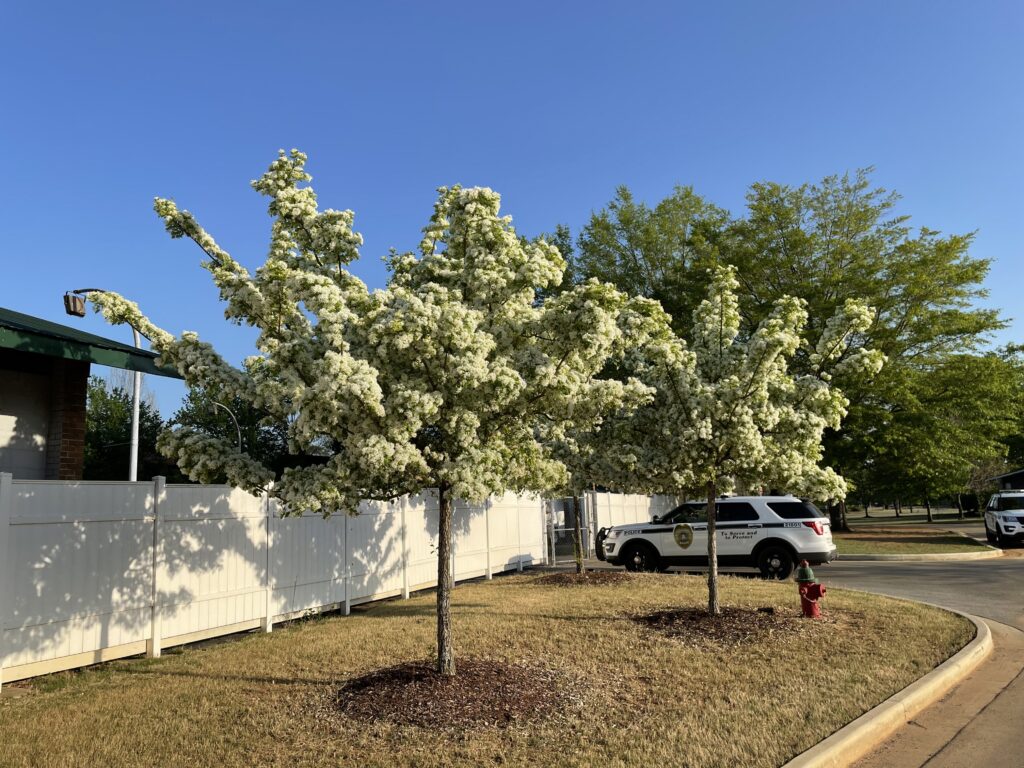 Huntsville Aquatic Center – Huntsville, AL – Spirit – After Photo (2) Huntsville Aquatic Center - Huntsville, AL - Spirit - After Photo (2)