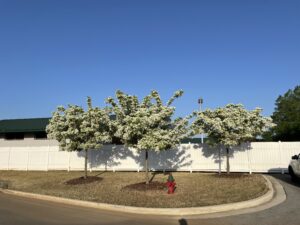 Huntsville Aquatic Center - Huntsville, AL - Spirit - After Photo