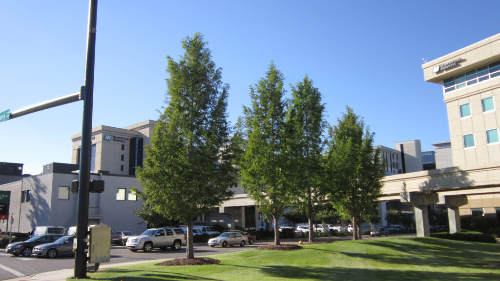 Huntsville Hospital Governor’s Park Drive – Huntsville, AL – Palatial – Before Photo Huntsville Hospital Governor’s Park Drive - Huntsville, AL - Palatial - Before Photo