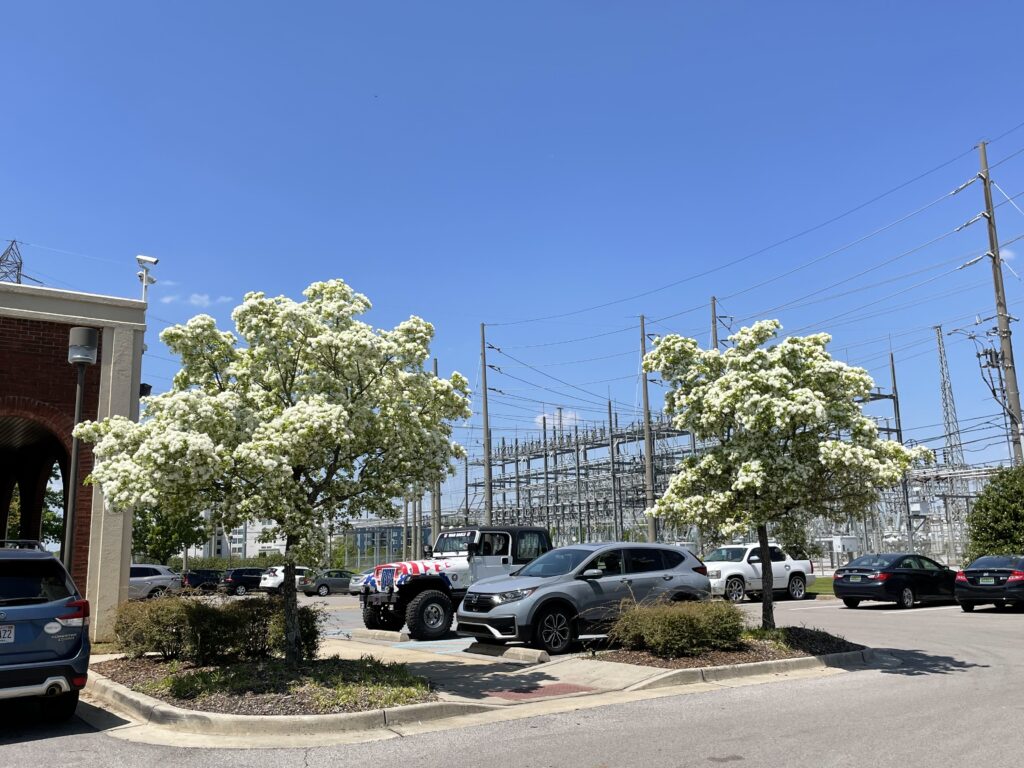 Huntsville Hospital Medical Mall- Huntsville, AL – Spirit – After Photo Huntsville Hospital Medical Mall- Huntsville, AL - Spirit - After Photo