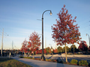 Ivan Allen Jr. Blvd - Atlanta, GA - Esplanade - Before Photo