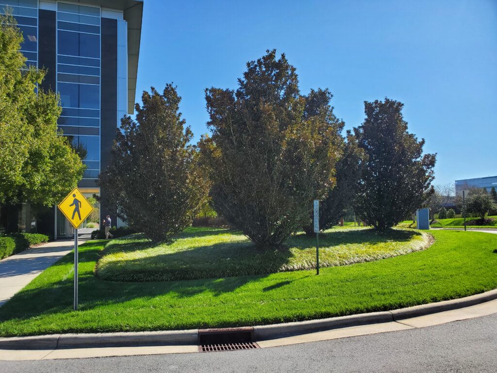 JK Polk – Charlotte, North Carolina – Alta – After Photo JK Polk - Charlotte, North Carolina - Alta - After Photo