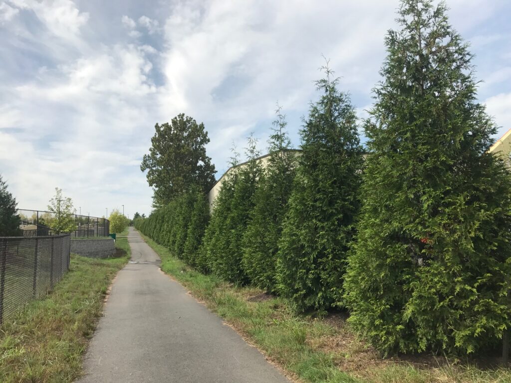 King Abdullah Academy – Fairfax, VA – GG – After Photo King Abdullah Academy - Fairfax, VA - GG - After Photo