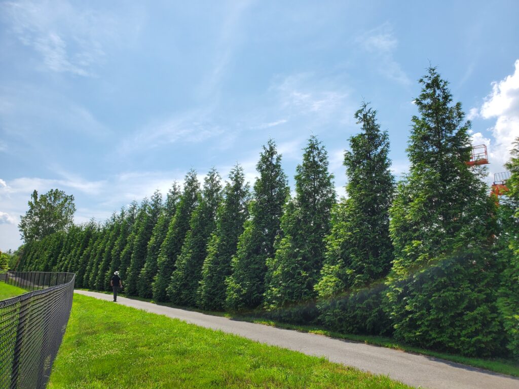 King Abdullah Academy – Fairfax, VA – GG – Before Photo King Abdullah Academy - Fairfax, VA - GG - Before Photo