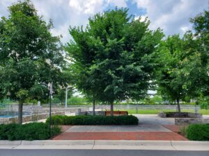 Loudon Station - Ashburn, VA - Jefferson - After Photo