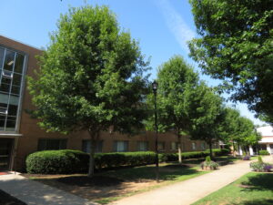 Morehouse College - Atlanta, GA - Esplanade - After Photo
