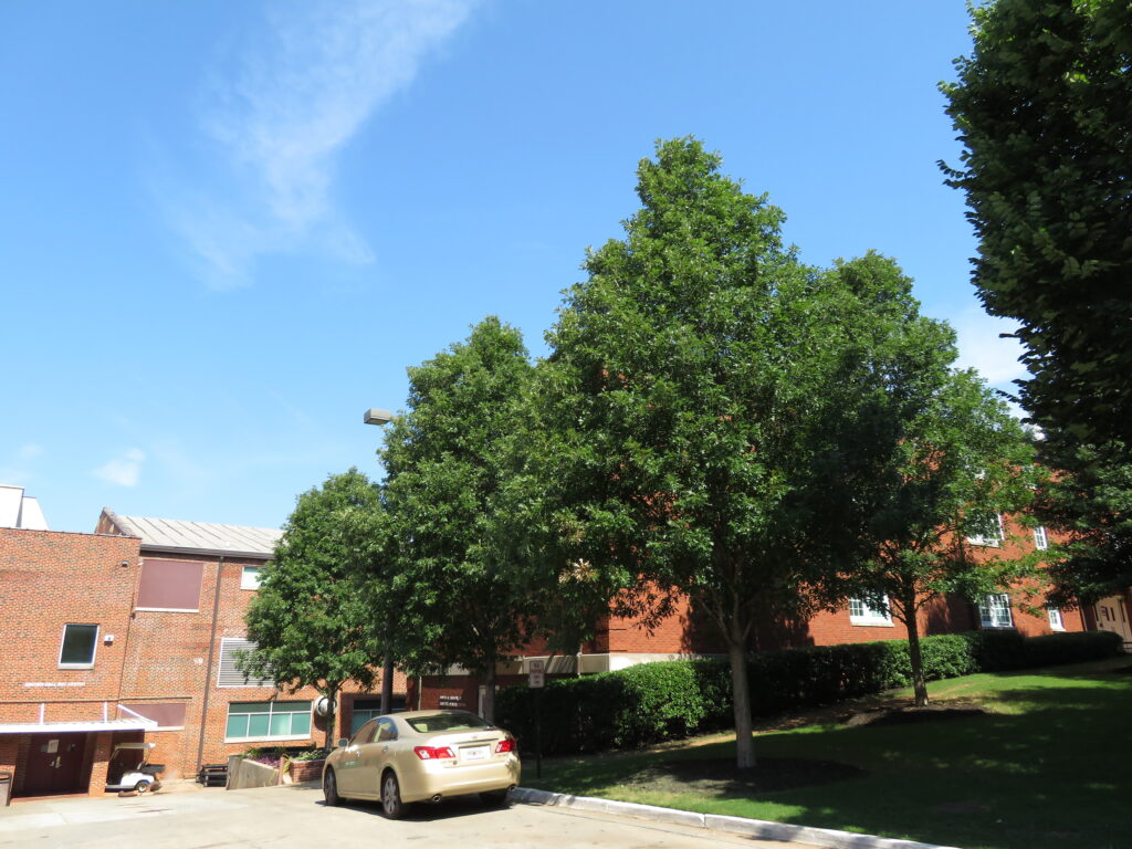 Morehouse College – Atlanta, GA – Streamline – After Photo Morehouse College - Atlanta, GA - Streamline - After Photo