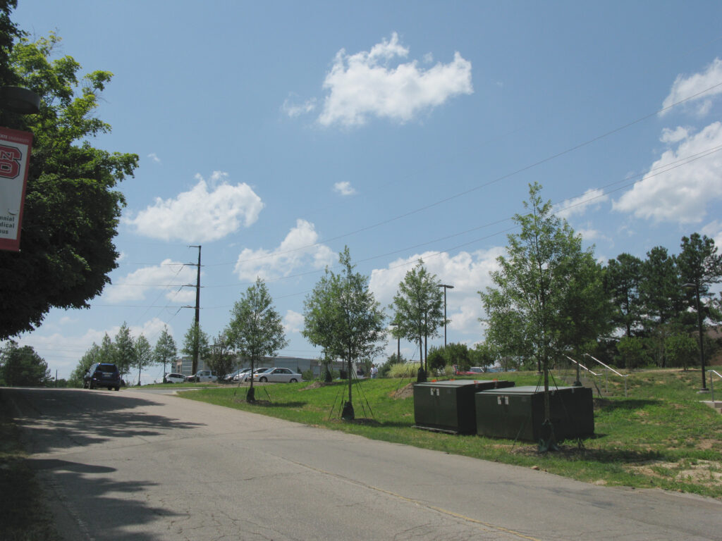 NC State University Vet Center – Raleigh, NC – Panache – Before Photo (1) NC State University Vet Center - Raleigh, NC - Panache - Before Photo