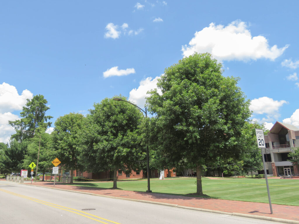 NCSU Harris Field - Raleigh, NC - HB - After Photo