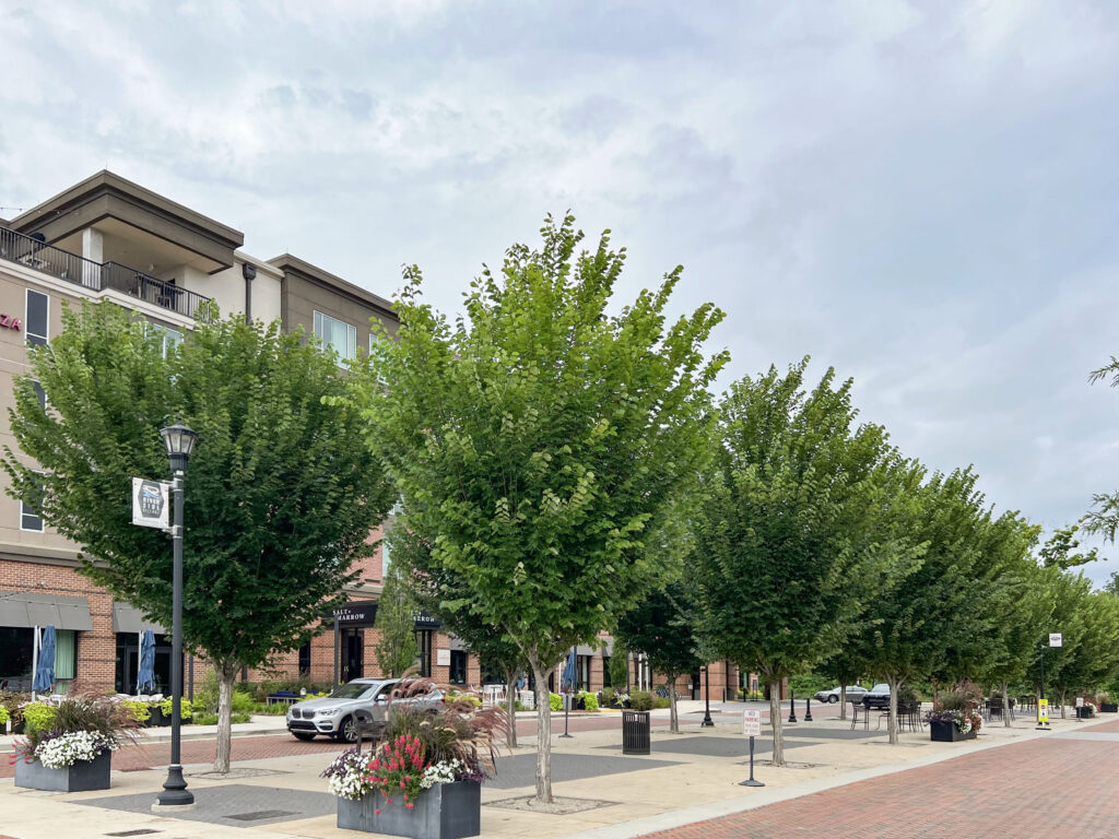 Riverside Village – North Augusta, SC – Jefferson – After Photo Riverside Village - North Augusta, SC - Jefferson - After Photo