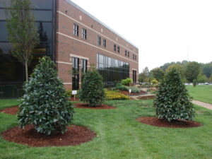 Spartanburg Community College - Main Campus - Spartanburg, SC - CF - Before Photo