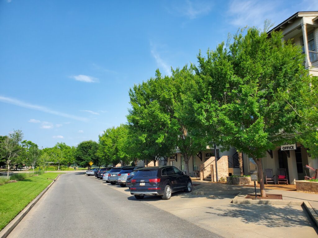 Sugar Mill Pond – Lafayette, Louisiana – Allee – After Photo Sugar Mill Pond - Lafayette, Louisiana - Allee - After Photo