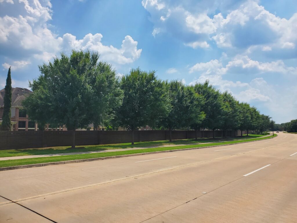 Telfair – Sugar Land, Texas – Allee – After Photo Telfair - Sugar Land, Texas - Allee - After Photo