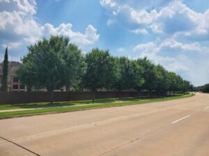 Telfair - Sugar Land, Texas - Allee - After Photo
