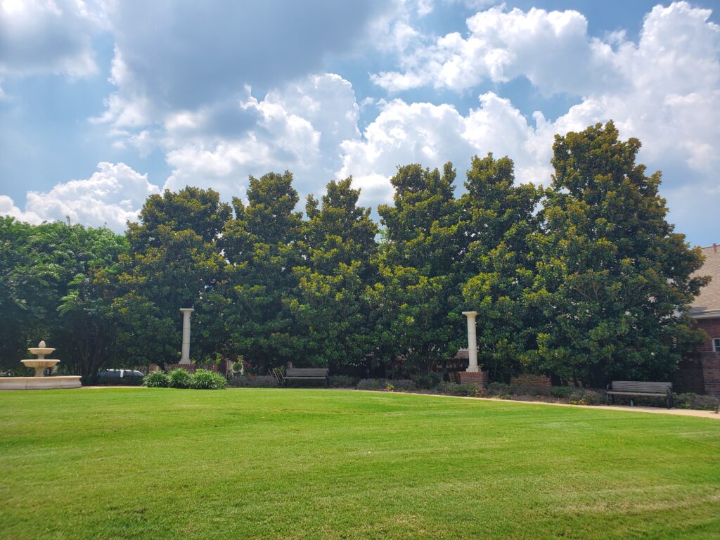 Telfair - Sugar Land, Texas - CW - After Photo (2)