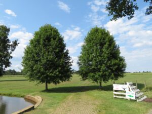 The Rock Ranch - The Rock, GA - Icon - After Photo