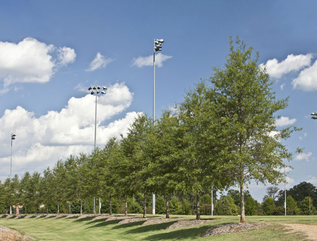 UGA, Intramural Fields - Athens, GA - HT - Before Photo