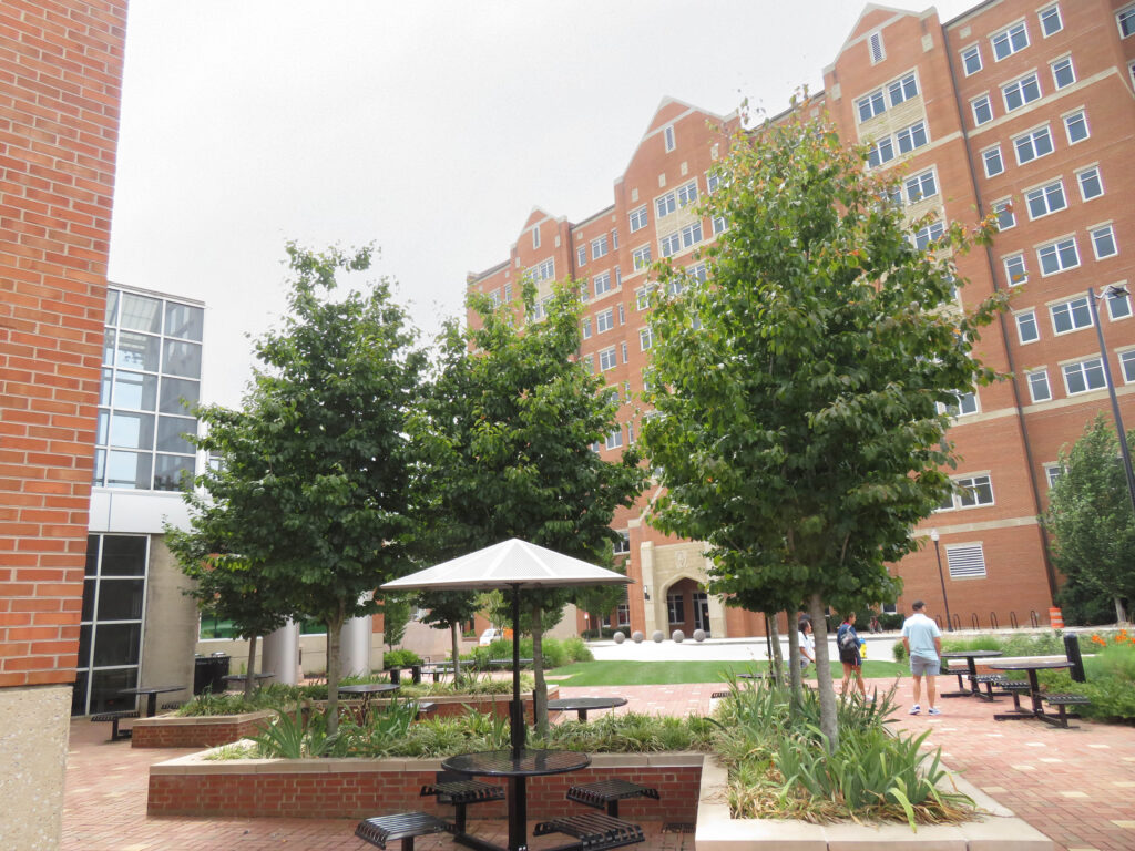 UT - Neyland Base - Knoxville, TN - Contemplation - Before Photo