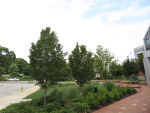 UT - Neyland Base - Knoxville, TN - Palisade - Before Photo
