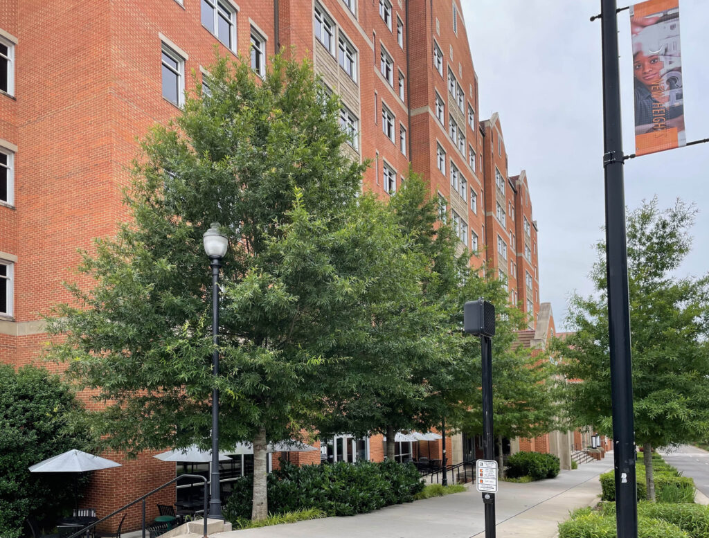 UT – Stokely Hall – Knoxville, TN – Ascendor – After Photo UT - Stokely Hall - Knoxville, TN - Ascendor - After Photo