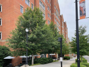 UT - Stokely Hall - Knoxville, TN - Ascendor - After Photo