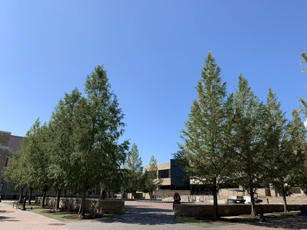 University of Tulsa – Chapman Commons – Tulsa, OK – Palatial – After Photo University of Tulsa - Chapman Commons - Tulsa, OK - Palatial - After Photo