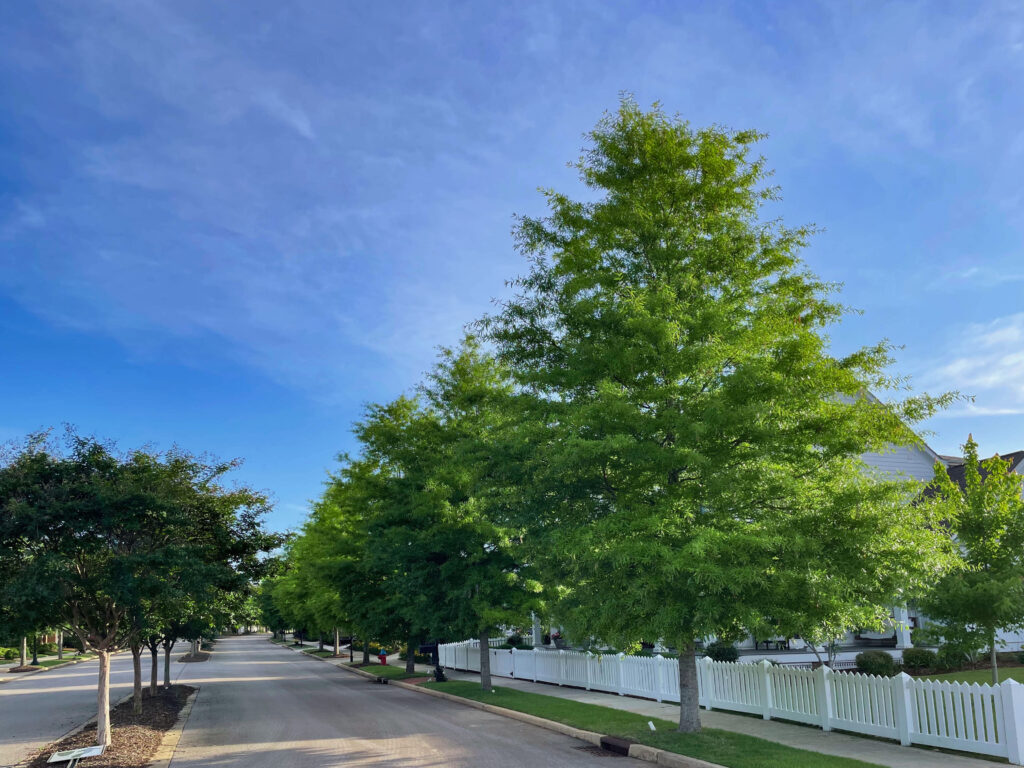 Village at Oakland Springs – Huntsville, AL – Fortitude – After Photo Village at Oakland Springs - Huntsville, AL - Fortitude - After Photo