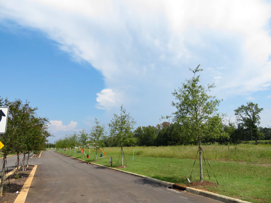 Village at Oakland Springs – Huntsville, AL – Fortitude – Before Photo (1) Village at Oakland Springs - Huntsville, AL - Fortitude - Before Photo