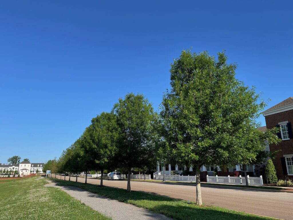 Village at Oakland Springs – Huntsville, AL – Prominence – After Photo Village at Oakland Springs - Huntsville, AL - Prominence - After Photo