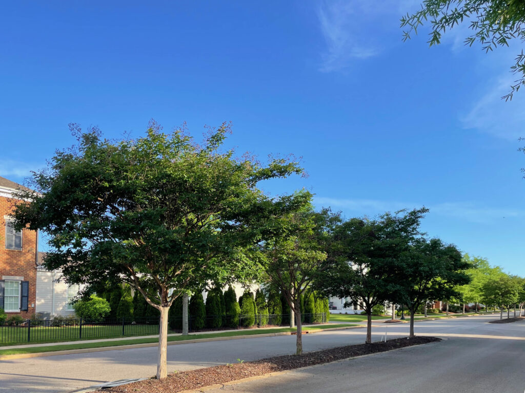 Village at Oakland Springs – Huntsville, AL – SF – After Photo Village at Oakland Springs - Huntsville, AL - SF - After Photo