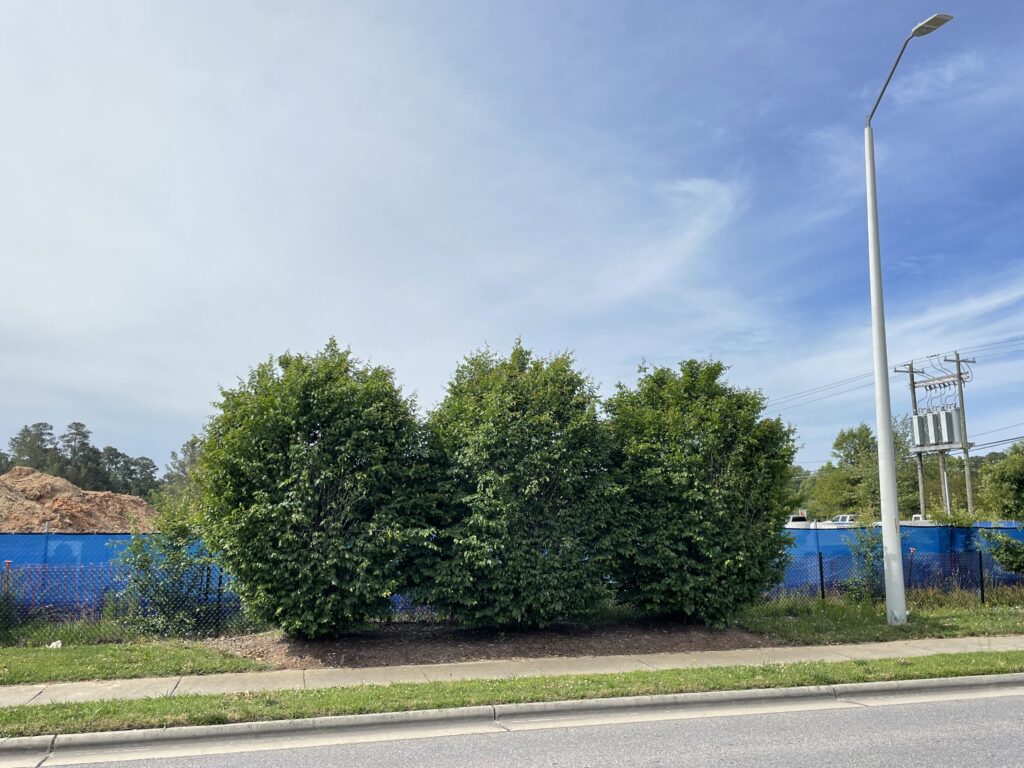 Wake County DOT – Timber Drive – Raleigh, NC – Palisade – After Photo Wake County DOT - Timber Drive - Raleigh, NC - Palisade - After Photo