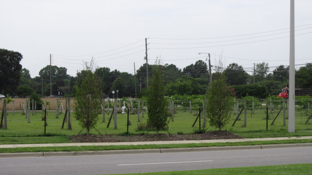 Wake County DOT – Timber Drive – Raleigh, NC – Palisade – Before Photo Wake County DOT - Timber Drive - Raleigh, NC - Palisade - Before Photo
