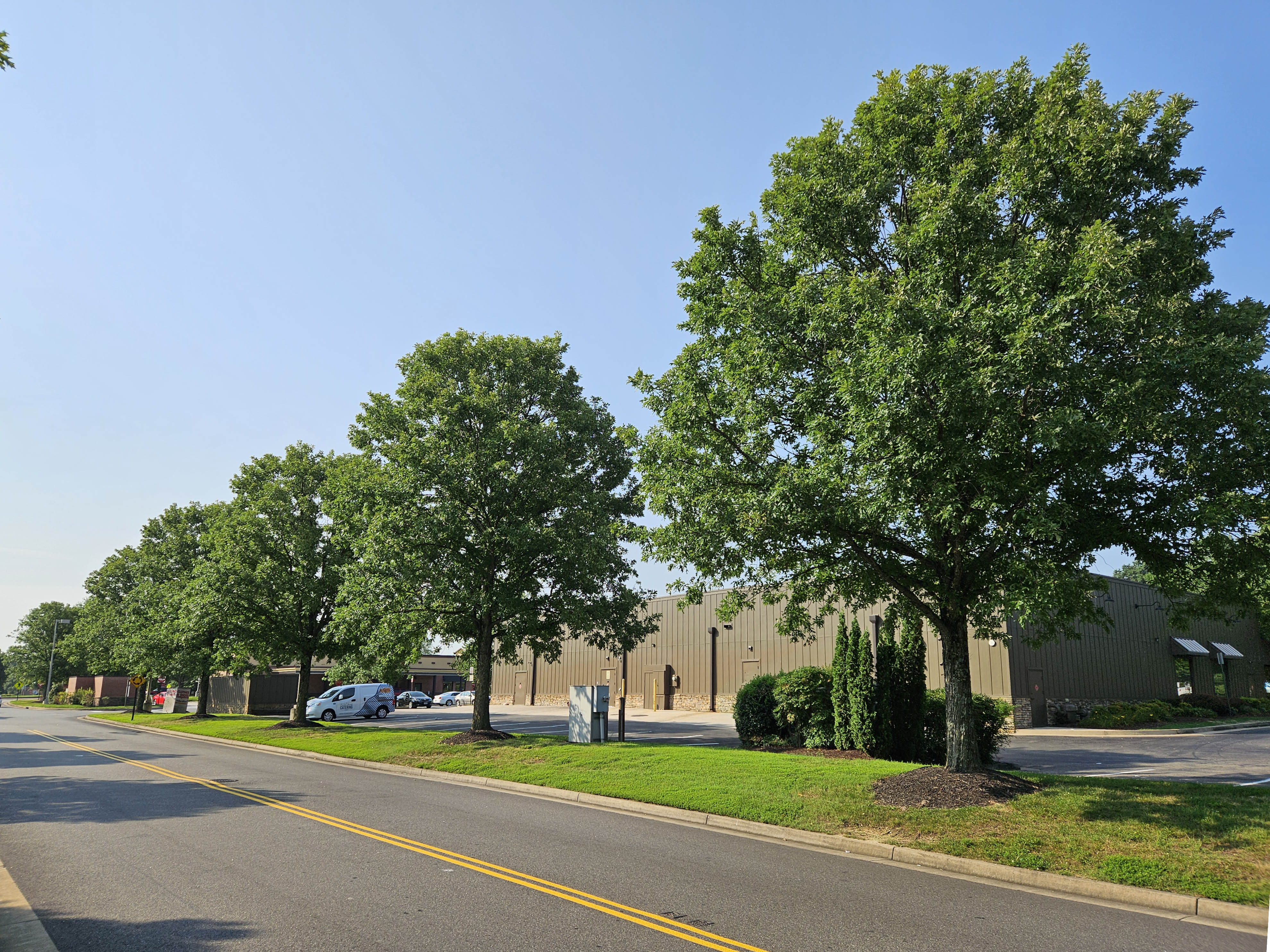 Highbeam® Overcup Oak - Select Trees