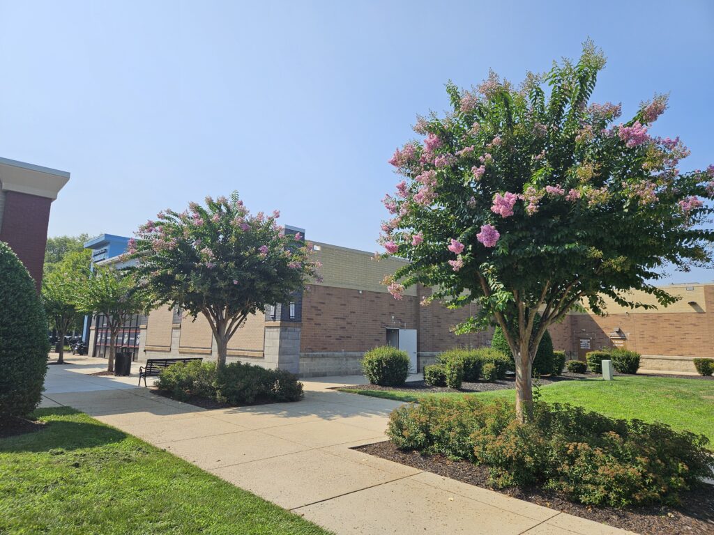 White Oak Village – Richmond, VA – Muskogee – After Photo White Oak Village - Richmond, VA - Muskogee - After Photo