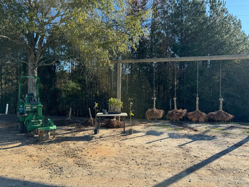Extreme Nursery Culture