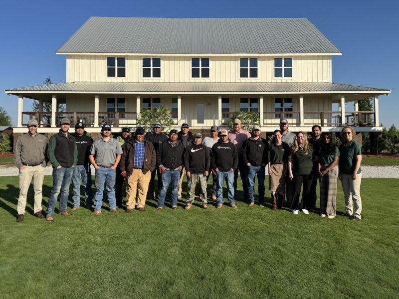 Our Team