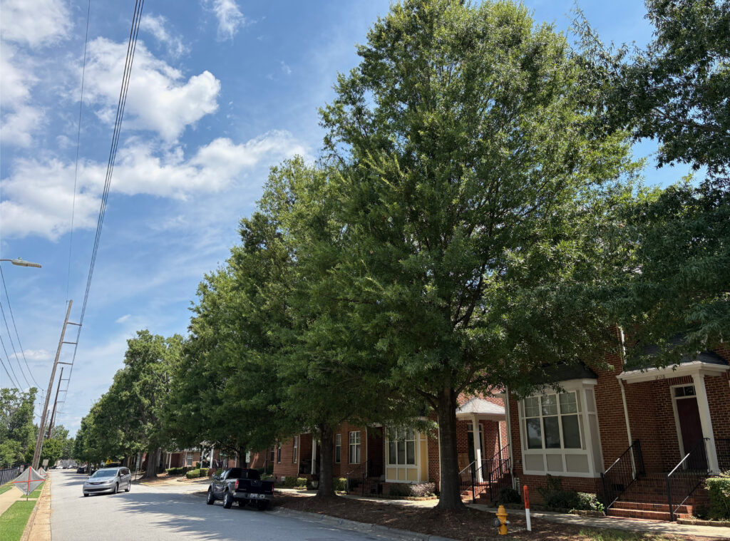 QupheAs1294 – Halifax Street – 07.10.26 (6)e Halifax Street- Raleigh, NC - Ascendor - After Photo